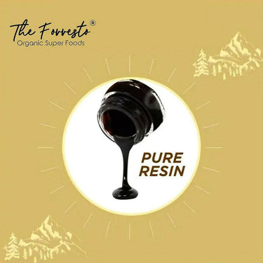 https://cdn.shopify.com/s/files/1/1857/6931/products/KpZEA93Y00.jpg?v=1693827338
